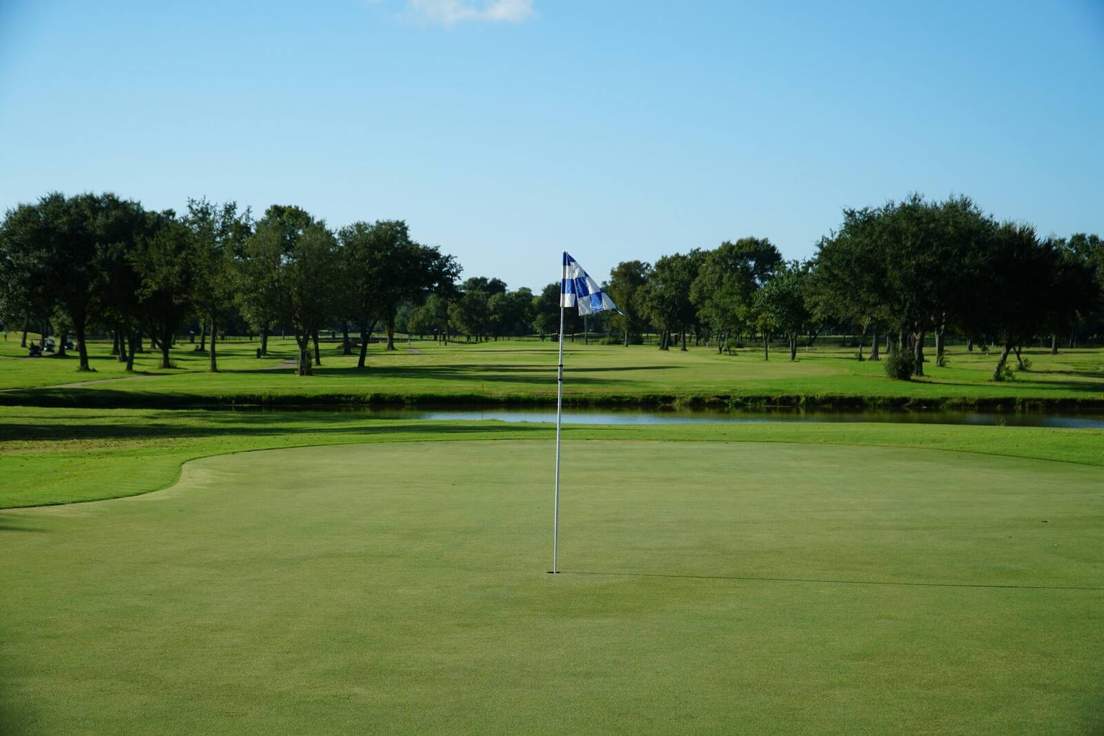 Golf greens